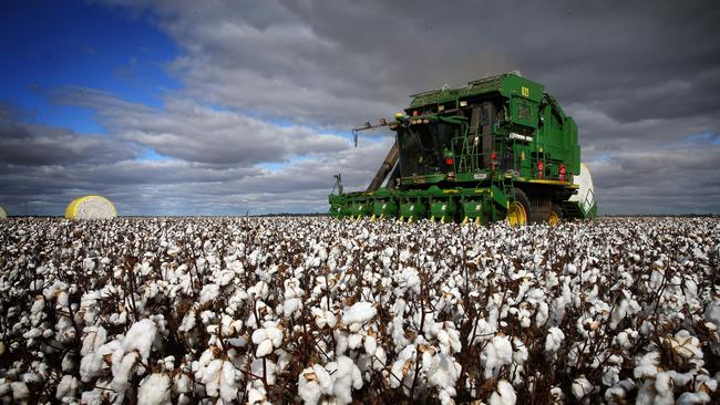 Cotton on Cobran Station at Hay NSW, part of Nuveen Natural Capital’s portfolio. Picture: Andy Rogers