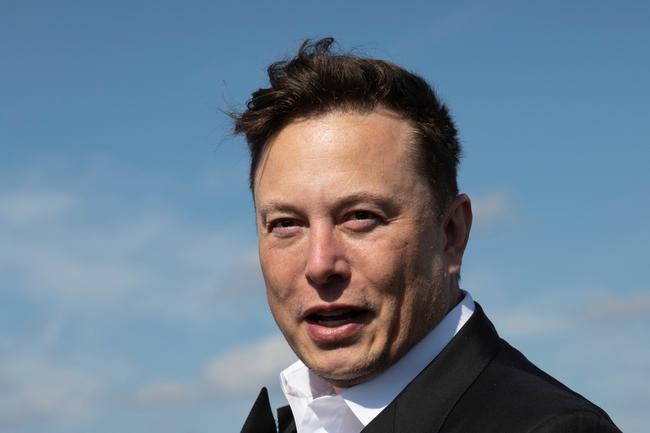 dolce vita elon