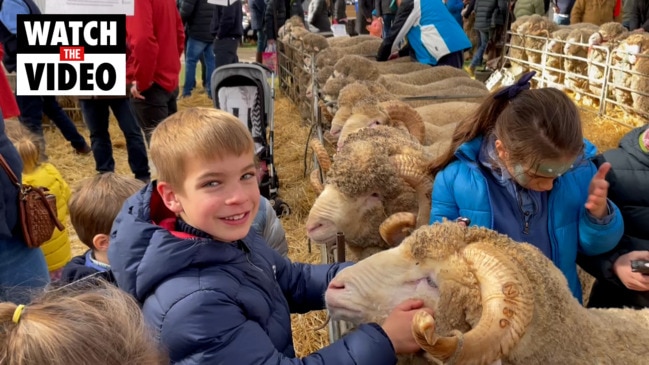 Young Will gets up and personal at Sheepvention