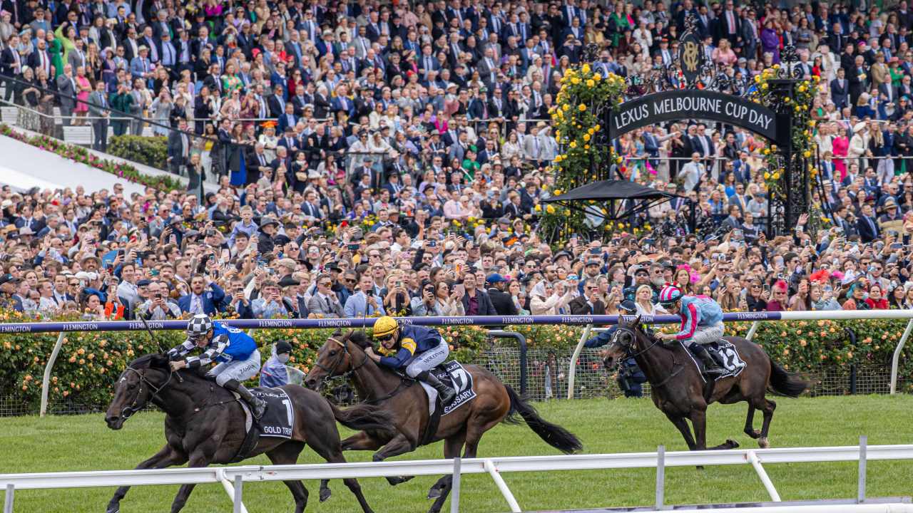 Melbourne Cup tipsters share best bets, value and