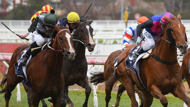 Kings Will Dream (left) is favourite for the Caulfield Cup after he drew barrier six. Picture: Getty Images