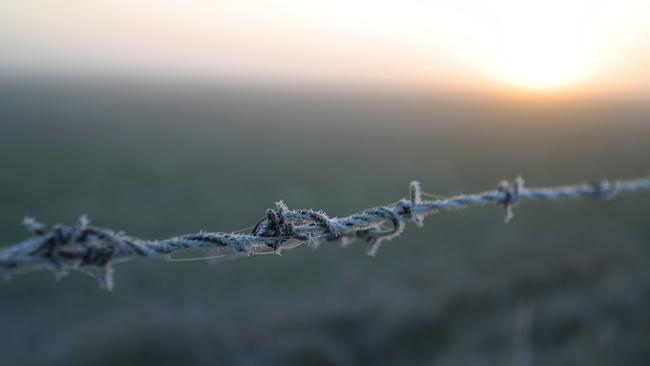 Scarce rain: A Wimmera grain grower has had 13mm of rainfall for July, which is about 20mm below his average, and experienced frost about four times last week.