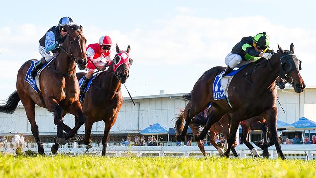 Jockey Jag Guthmann-Chester (black and lime green quartered cap) rides Lothario to win race 8, the CNW Electrical Wholesale Class 6 Handicap during the CNW Raceday at Aquis Park in the Gold Coast, Saturday, August 26, 2017. Photo: Albert Perez, AAP.