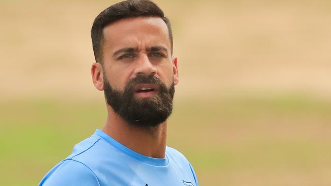 Alex Brosque says the Sky Blues still own the derby. (Mark Evans/Getty Images)