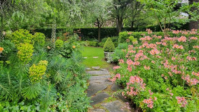 The Running House Garden, Kensington Park, SA. Picture: Open Gardens South Australia