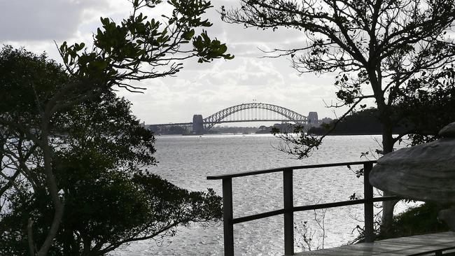 The Hermitage walk from Vaucluse to Rose Bay. Picture: John Appleyard