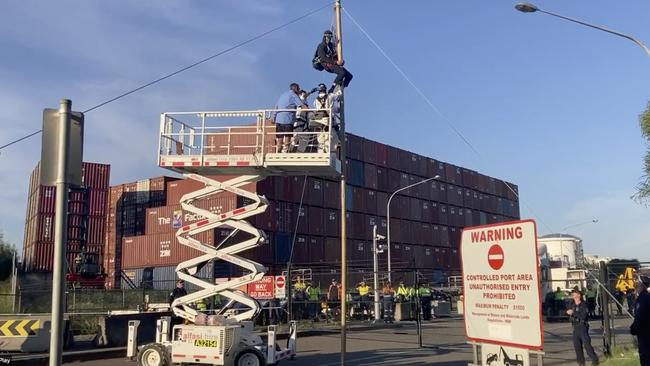 Henrik suspended himself up a nine-metre pole at Port Botany.