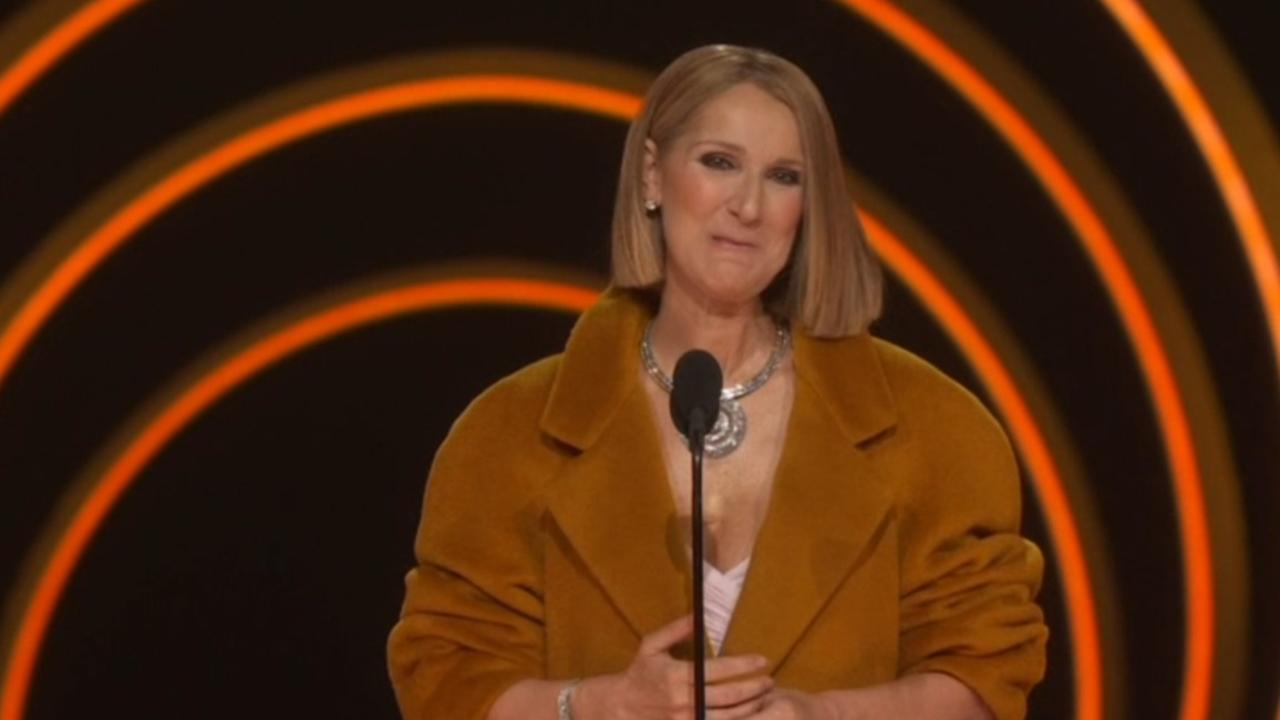 Celine Dion earned a standing ovation at the Grammys.