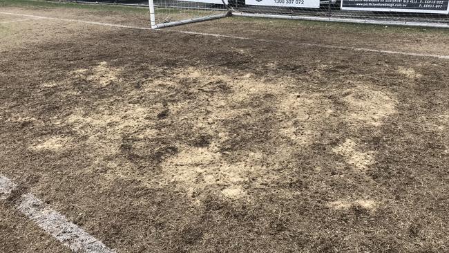 The Lex Bell Oval playing surface.