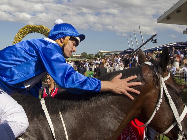 Hugh Bowman pats Australia’s latest thoroughbred superstar. Picture: Jenny Evans