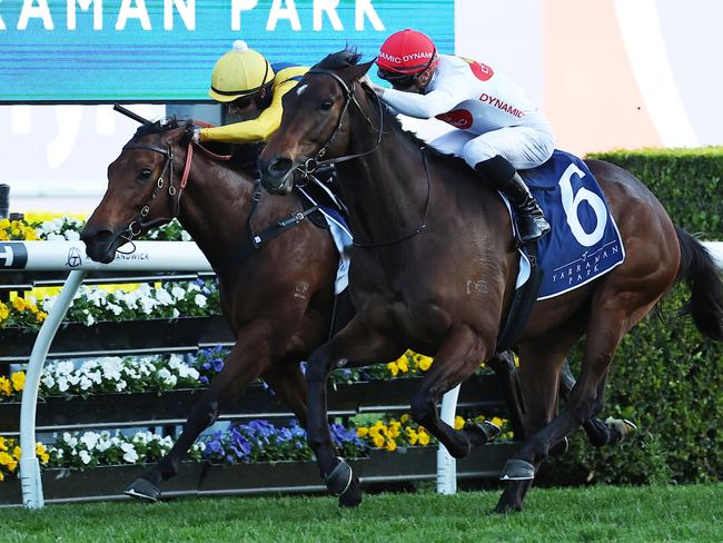 SYDNEY, AUSTRALIA - SEPTEMBER 21: James McDonald riding  I Am Me wins Race 9 Yarraman Park The Shorts during "Sydney Surf To Turf Day" - Sydney Racing at Royal Randwick Racecourse on September 21, 2024 in Sydney, Australia. (Photo by Jeremy Ng/Getty Images)