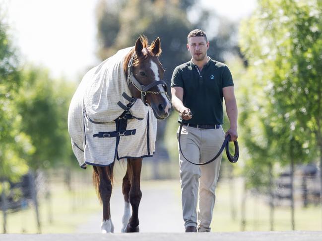 Handler Dylan Turner with Yulong stallion Written Tycoon. Pictures: Michael Klein