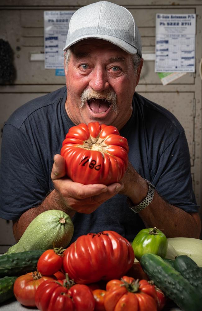 Geelong West's Vince Leone has grown a tomato weighing is more than 1kg. Picture: Brad Fleet