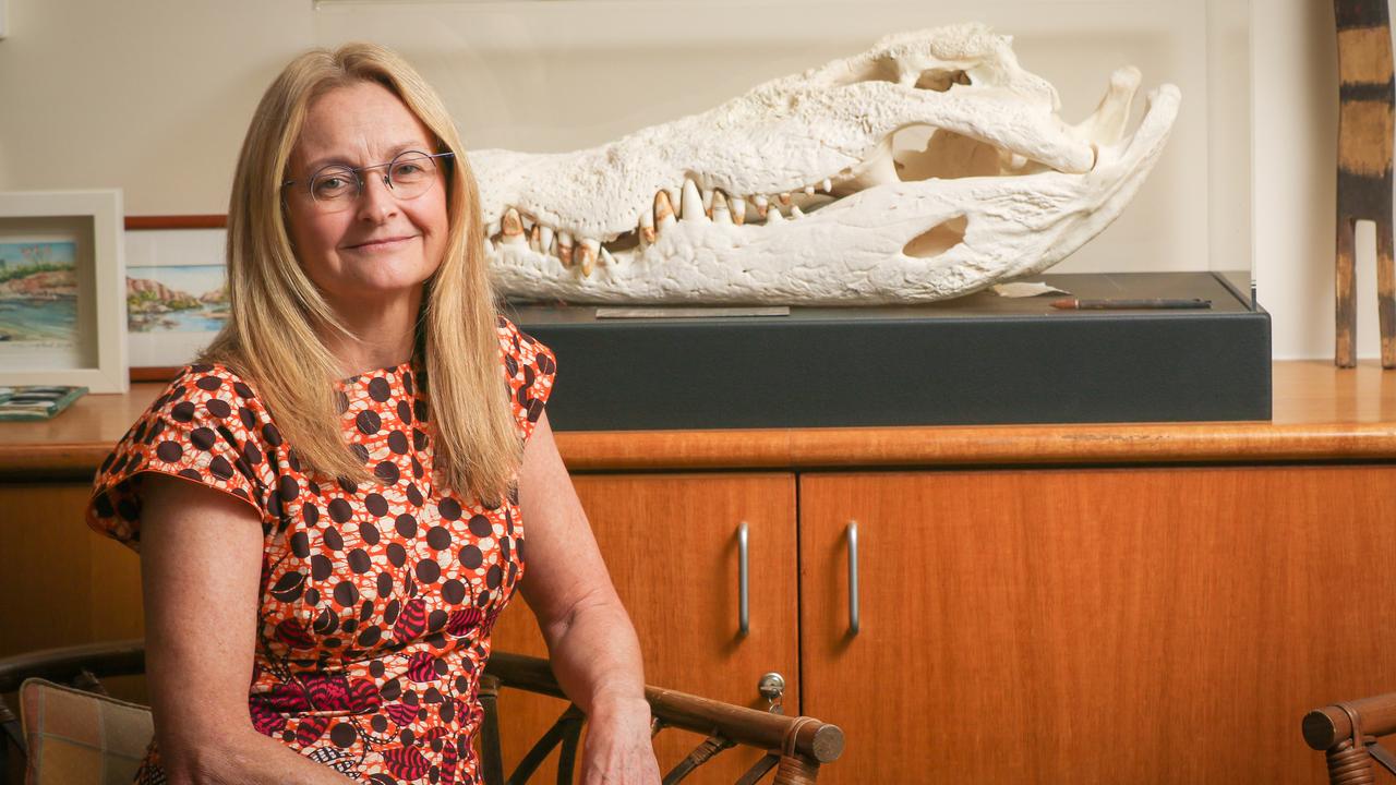 Territory Coroner Elisabeth Armitage ahead of the Shane Tapp inquest in October. Picture: Glenn Campbell