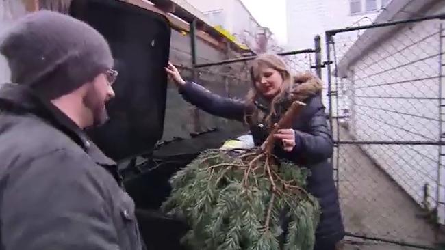 Tis the season ... Shannyn found this perfectly good tree in a bin and took it home for her own Christmas party — on December 28. Picture: Supplied