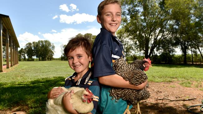 Clare State School. Prep student Remy Booth, 4, and Laurence Tomasetig, 11, with some of the school's chooks. Picture: Evan Morgan