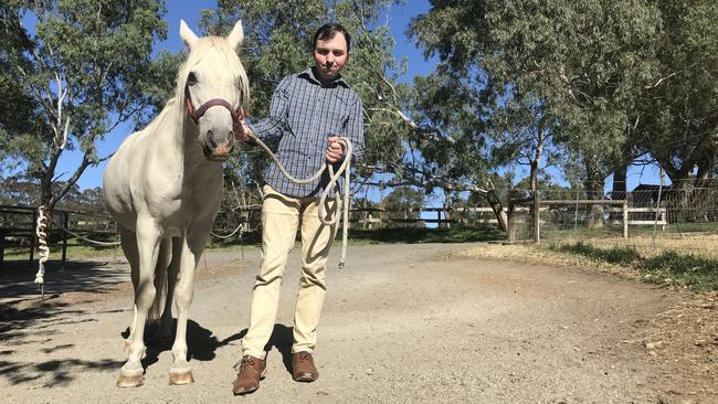 Four Oaks Farm in Littlehampton will play host to the first Adelaide Hills Kids Farmers’ Market. Event co-ordinator Nathan Rogers leads out one of the farm animals. Photo: Lydia Kellner