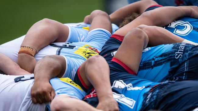 The NSW Waratahs Gen Blue program is dominating the rugby championship. Pics: Julian Andrews