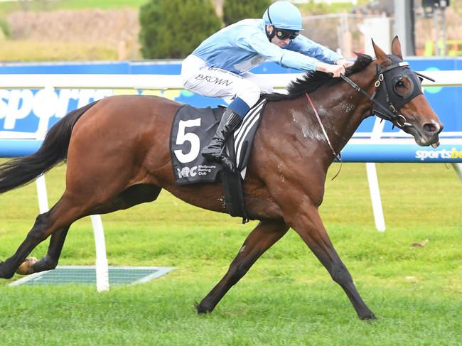 Let'sbefrankbaby ridden by Ethan Brown wins the JRA Handicap at Caulfield Racecourse on May 11, 2024 in Caulfield, Australia. (Photo by Brett Holburt/Racing Photos via Getty Images)