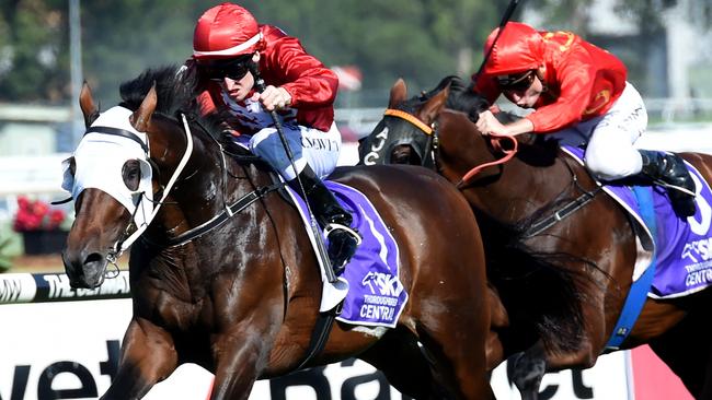 ATC Australian Derby 2016: Craig Newitt stays in Sydney to focus on ...