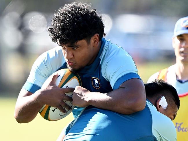 The Wallabies will face Wales and Georgia in Tests next month. Picture: Bradley Kanaris/Getty Images