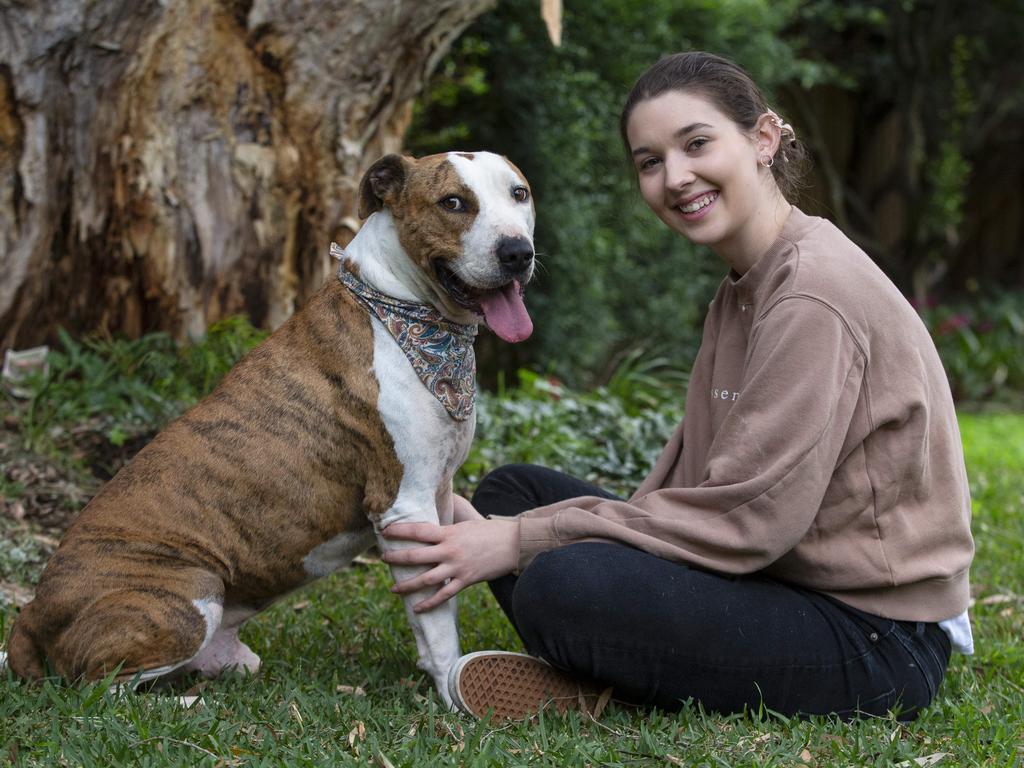 Louisa Fitzgerald at home, in Gladesville, with Lucius, a 7 year old dog, she is fostering who's been on adoption row with the RSPCA for more than 300 days Picture: Justin Lloyd.