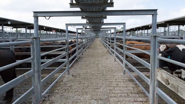 The Mount Gambier and District Saleyards. Picture: Picture: Grant Council