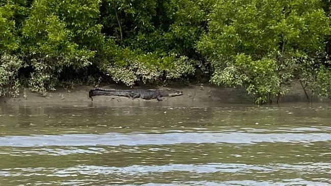 The Woods family of Bowen shared their story of a harrowing escape from the crocodile infested Proserpine River. Picture: Supplied