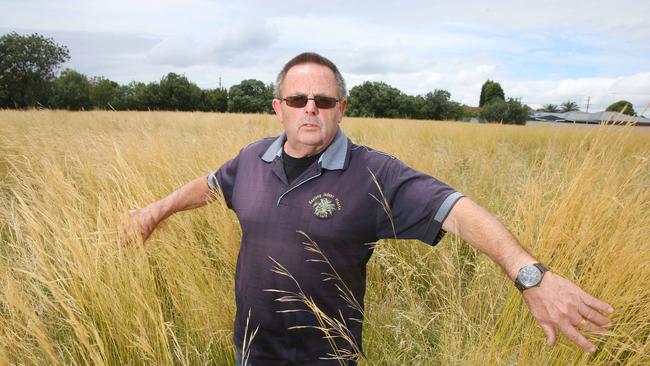 Kevin Carlson at the former Norlane High School before the grass had been cut. Picture: Peter Ristevski