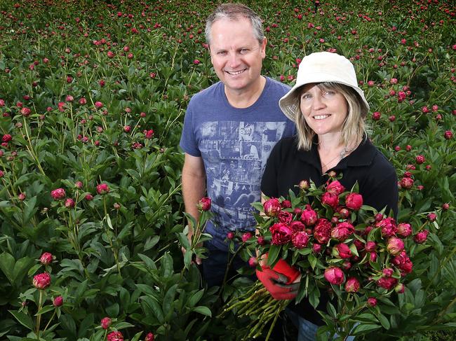 Fred and Alison Guilbert of Peonietta Peonies from Nietta. PICTURE CHRIS KIDD