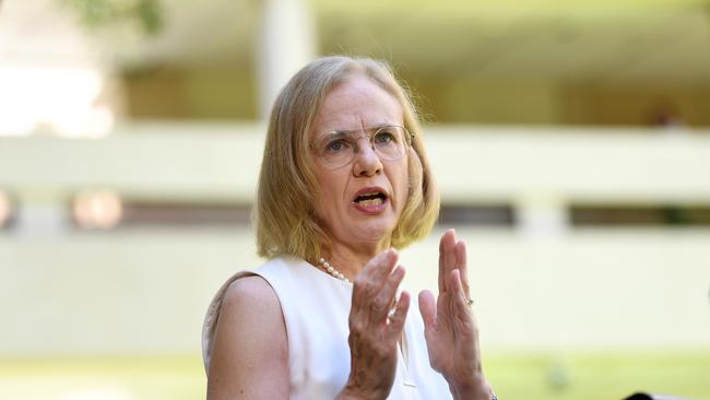 Queensland Chief Health officer Dr Jeanette Young speaks during a press conference at Parliament House. Picture: NCA NewsWire / Dan Peled