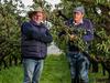 $350m damage bill from huge hailstorm – but help is coming