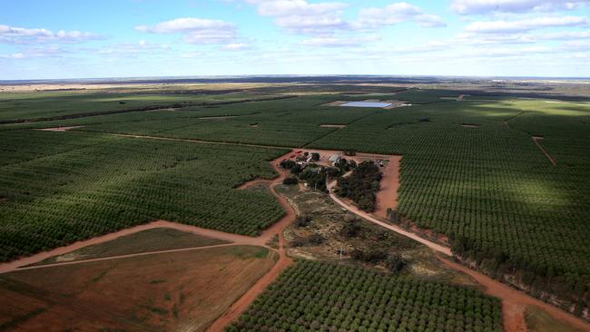 Victoria’s Lower Murray irrigators face being throttled by NSW’s claim to half the Barmah-Millewa Choke’s capacity.