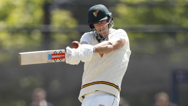 Beau Webster of Tasmania. Photo by Darrian Traynor/Getty Images