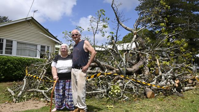 Tennants of the home, Maxine and Terrance Wells. Large heritage listed tree falls overnight on South Street. Picture: Bev Lacey