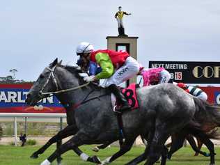 Scenes from the 2020 Pink Silks Annual Raceday at Coffs Harbour Racing Club. Picture: Matt Deans