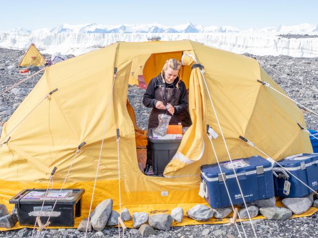 Monash University biologist Dr Laura Phillips studied Springtail bugs in Antarctica as part of an Australian Research Council grant. Photo  Richard Jones/Monash University.