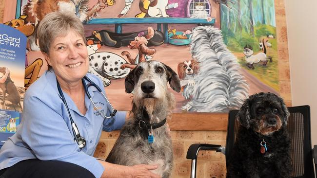 Chancellor Park Veterinary Clinic owners Sebastian Olasek and Annabel Shepherd have revealed their innovative "fear free" veterinary clinic at Aura Business Park set to open in October 2020. Annabel pictured with her dogs, Greta and Kirri. Picture: Patrick Woods.