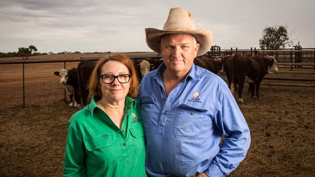 Jackie and Tony Williams with some of their bulls at Mt Barry Station, Coober Pedy. Picture: Matt Turner