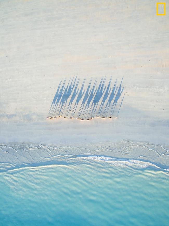 Photo by Todd Kennedy / National Geographic Nature Photographer of the Year contest Cable Beach Camel Caravan A bird’s eye view of a caravan of camels walking along Cable beach at sunset.