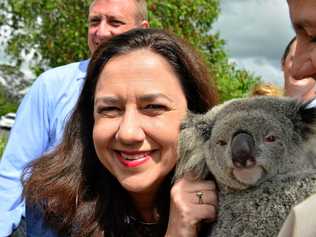 Annastacia Palaszczuk will lead the Labor Party to victory in the state election, tips Bill Hoffman. Picture: John McCutcheon