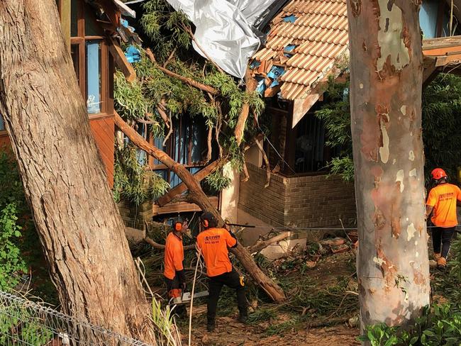 A tree crashes into a bedroom of a home in Brolga Pl, Belrose. Picture: Jim O'Rourke.