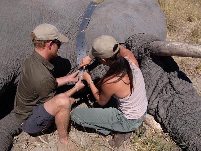 Prince Harry and his wife Meghan shared previously unseen images of their trip to Botswana in 2017. Picture: Instagram @sussexroyal