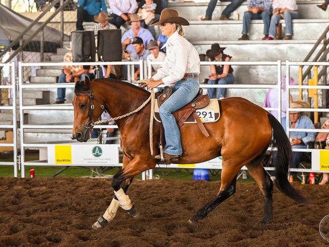 Dalby Australian Stock Horse Sale