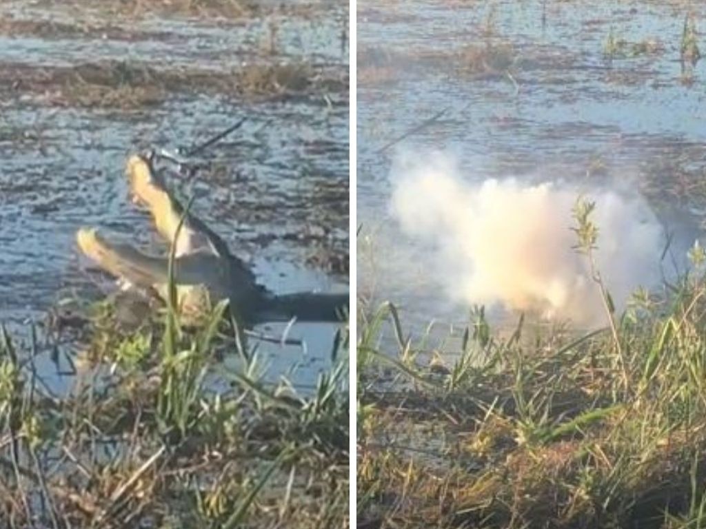 Smoke started pouring out of the alligator's mouth as he chomped on the drone. Picture: @devhlanger/TikTok