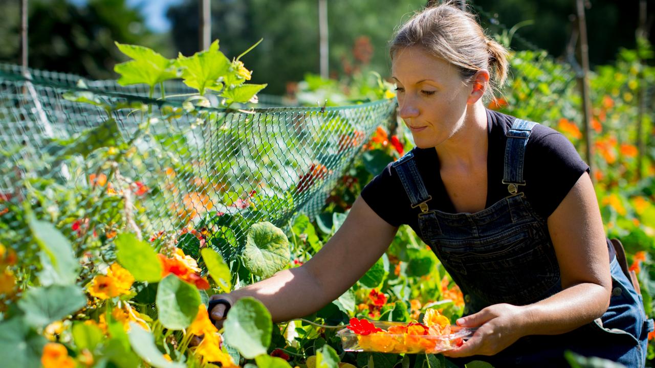 The Biggest Little Farm: Soothing and inspiring.