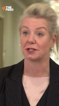 Senator Bridget McKenzie on the glass cliff (SBS)