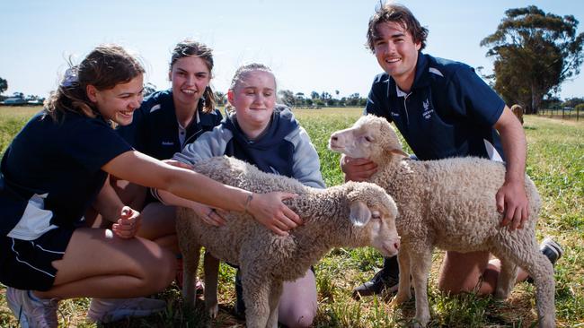 Balaklava year 12 High School students Tiarhn Carpenter, Amber Pratt, Caitlin Arts and Thomas Michael. Picture: Matt Turner