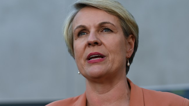 'Come Together As An Australian Community': Tanya Plibersek Pleads ...