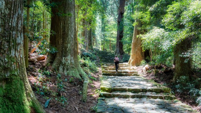 I hiked the Kumano Kodo, it was life changing